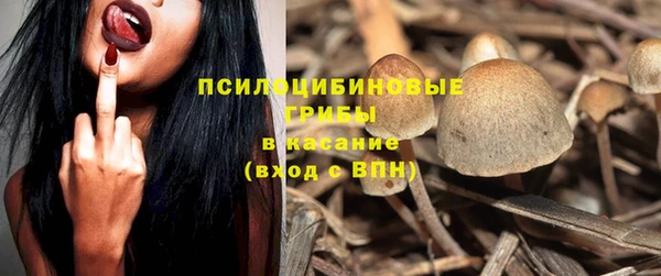 PSILOCYBIN Верхний Тагил